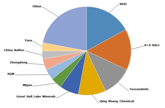 structure of the lobal SOP production